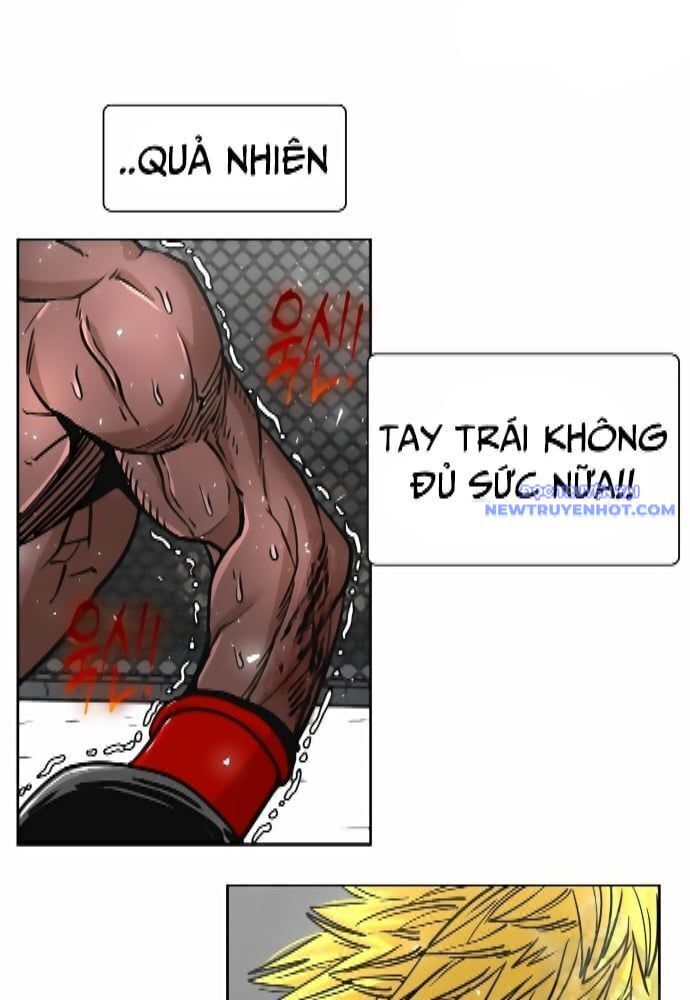 shark - cá mập chapter 262 39