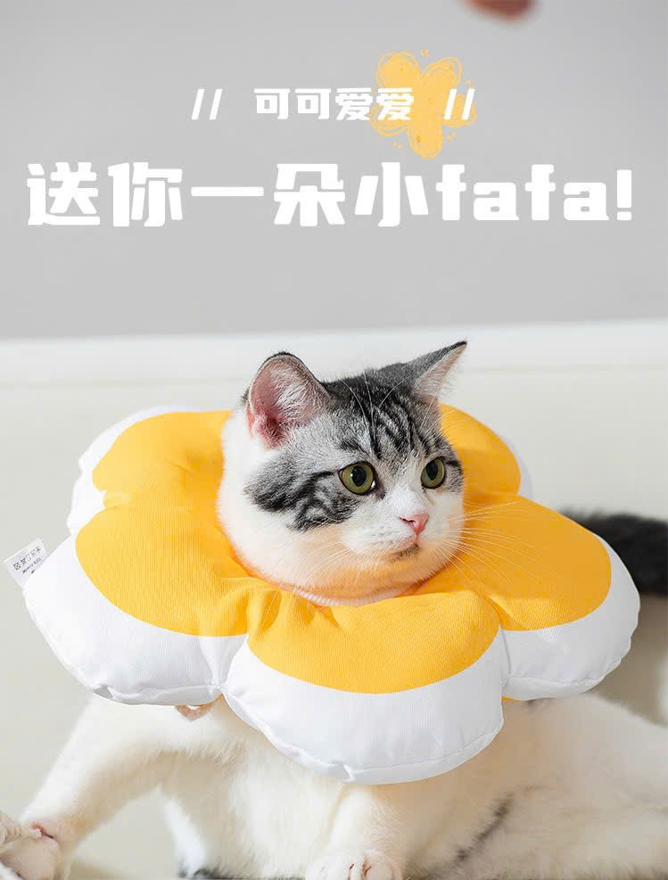 VÒNG CỔ THÚ CƯNG VÒNG CỔ LOA CHỐNG LIẾM CHO THỎ CHÓ MÈO BÔNG HOA DỄ THƯƠNG TỪ 0.5-5.5KG MÃ 10 CHO CHÓ MÈO THỎ