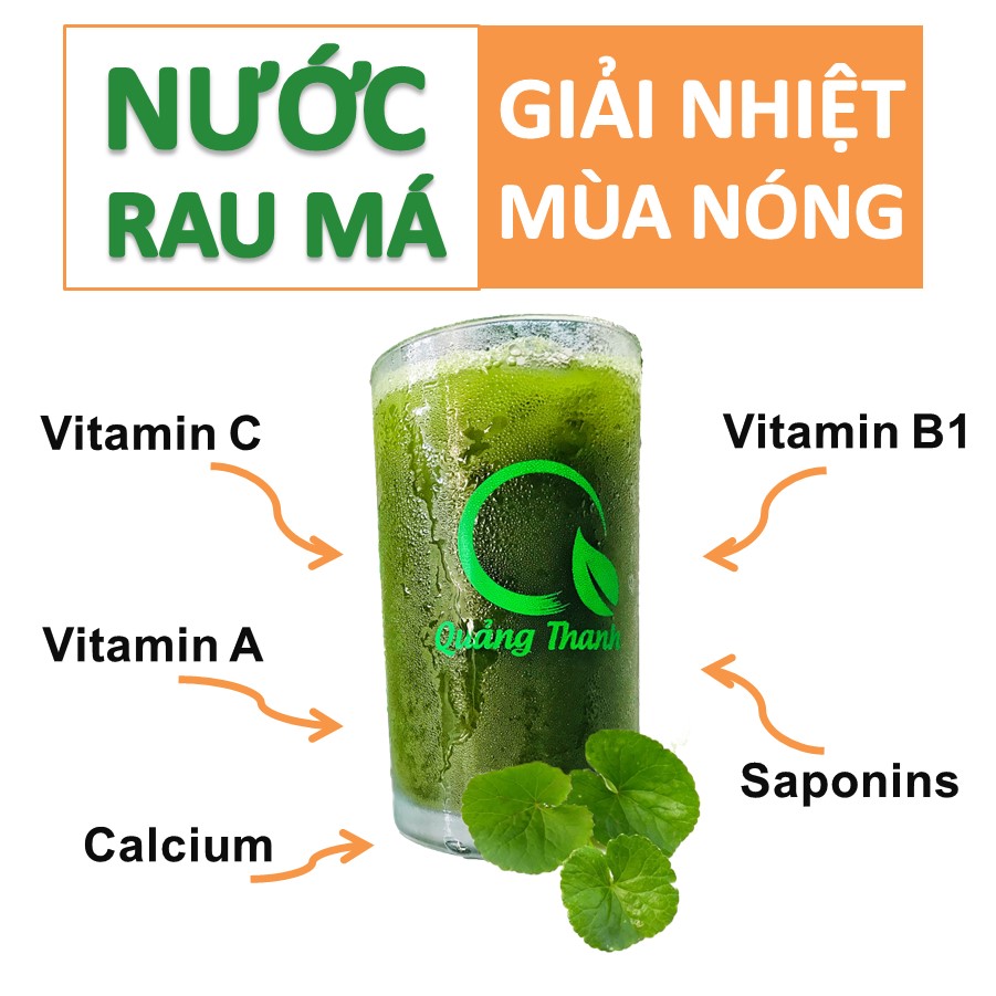 Bột rau má sấy lạnh Quảng Thanh, bịch 50gr - Giải độc, mát gan, thanh nhiệt cơ thể, giảm mụn, đẹp da