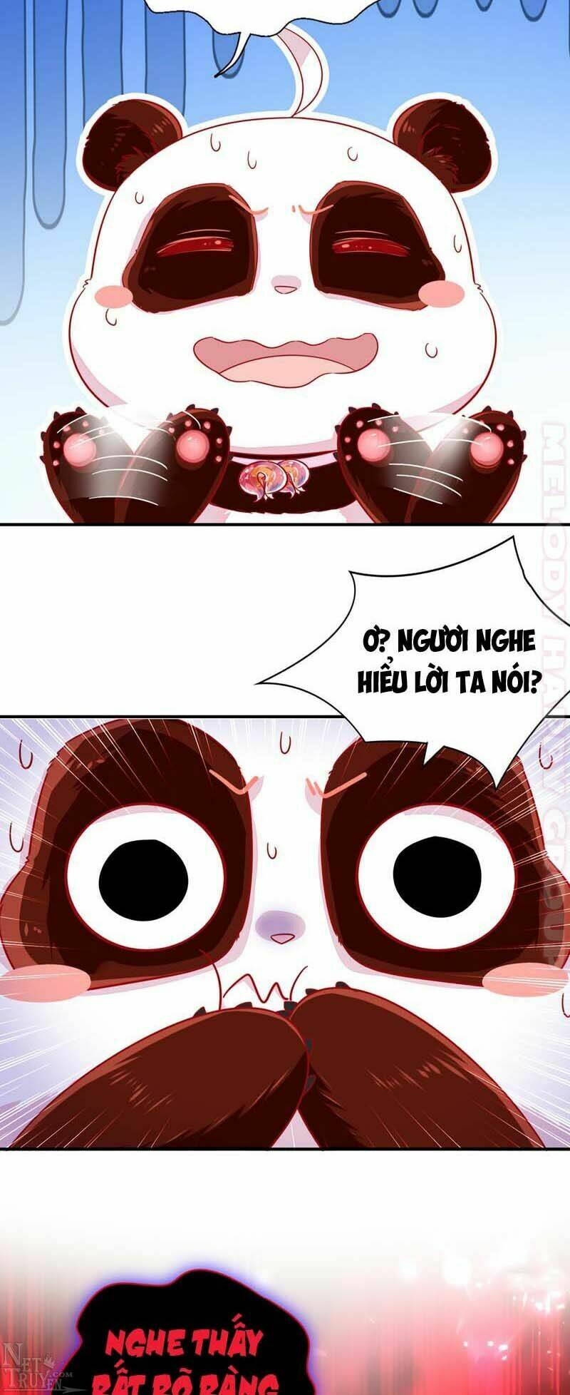 thiên thần gấu trúc muốn được ôm chapter 55 11