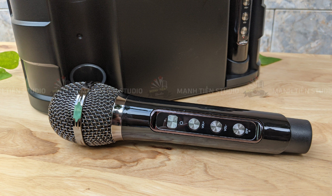 Loa karaoke bluetooth YS 202 - Tặng kèm 2 micro không dây SẠC TỰ ĐỘNG nghe nhạc hát karaoke âm thanh lớn phù hợp văn phòng