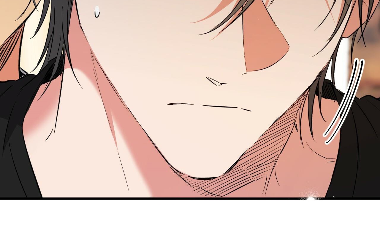 đàn thỏ của habibi chapter 55 154