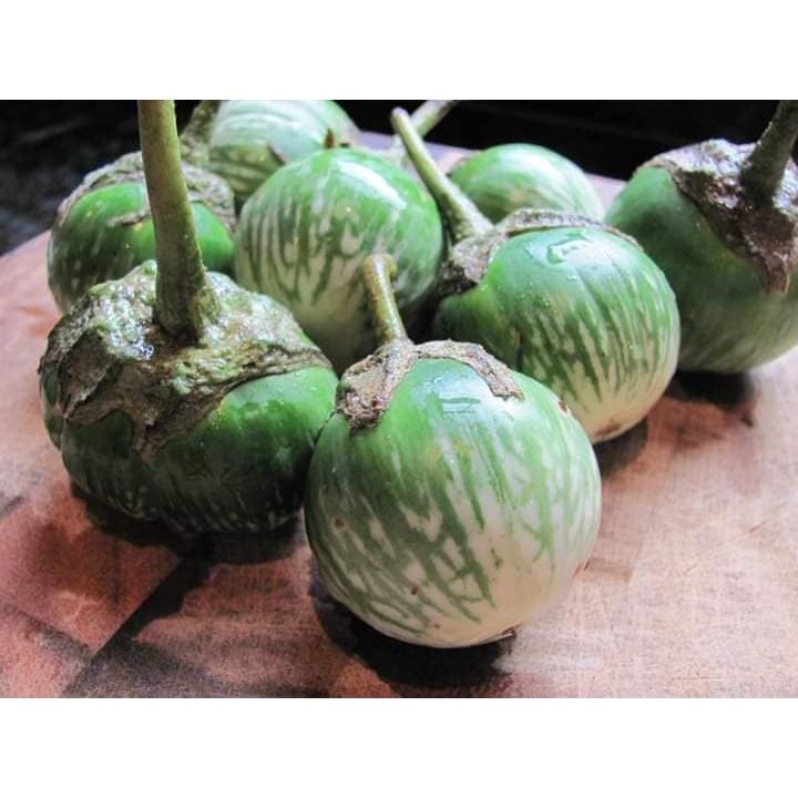 Hạt Giống Cà Dĩa Cao Sản CT265 - Gói 0.5gram