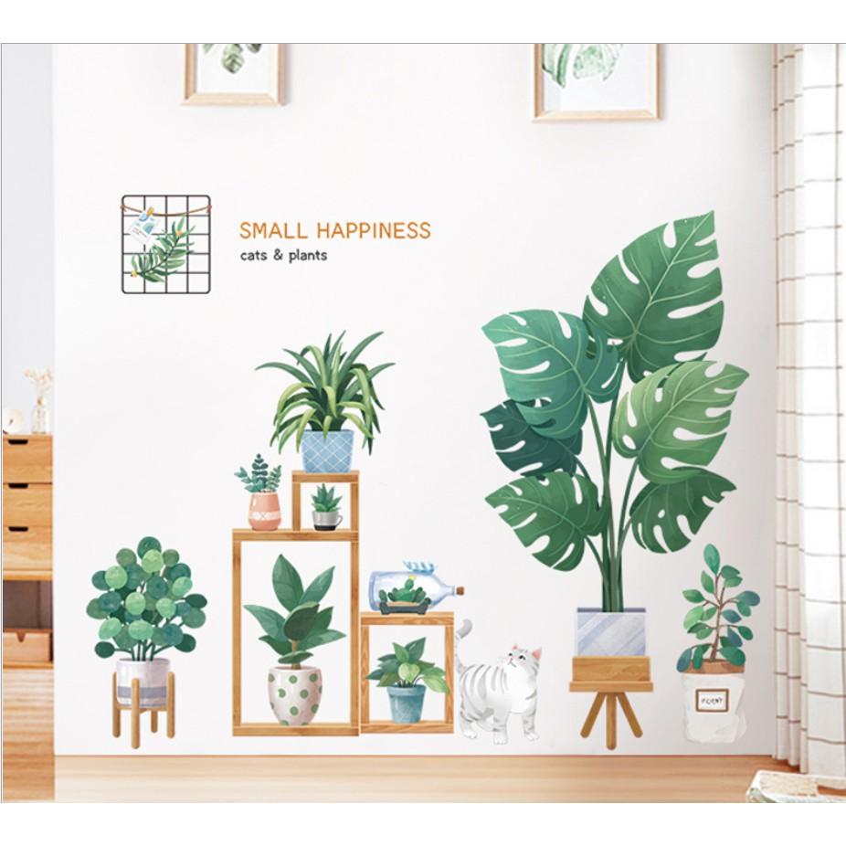 Decal trang trí tường - Nhiều châu cây xanh trang trí 04