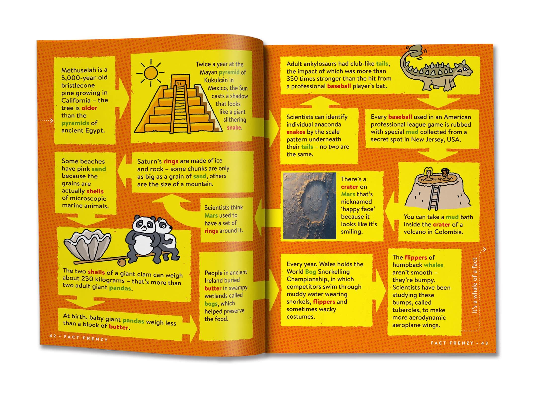 Sách ngoại văn: Return To Factopia! - Follow the Trail of 400 More Facts