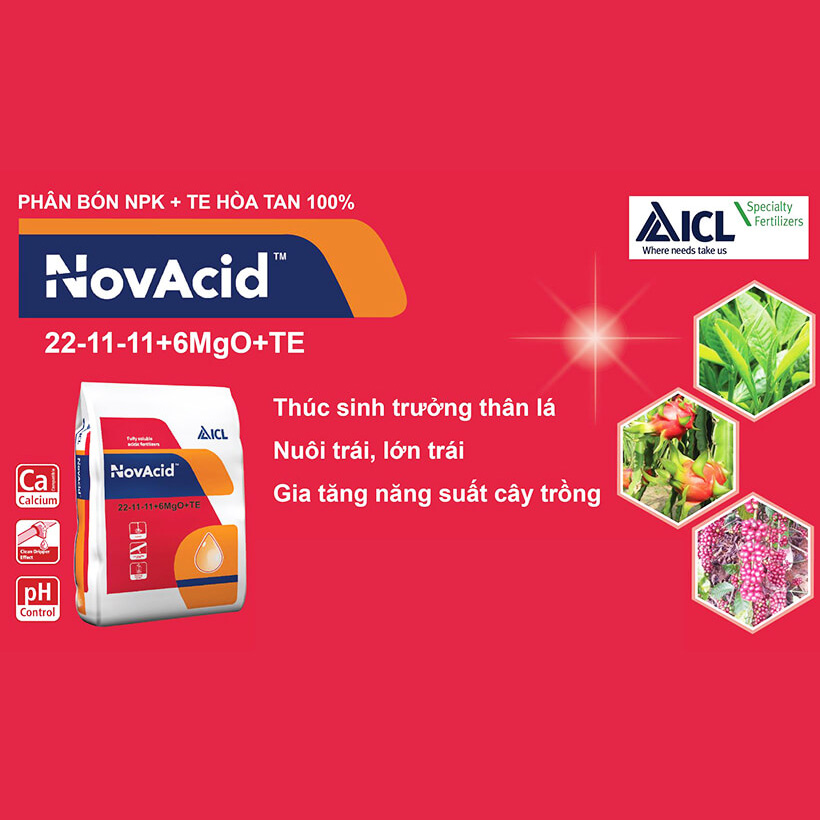 Phân bón hòa tan Israel NPK NovAcid 22-11-11+6MgO+Te giúp thúc cây bung chồi non đồng loạt, tăng kích cở trái thông qua hệ thống tưới nhỏ giọt bón gốc hay phun lên lá