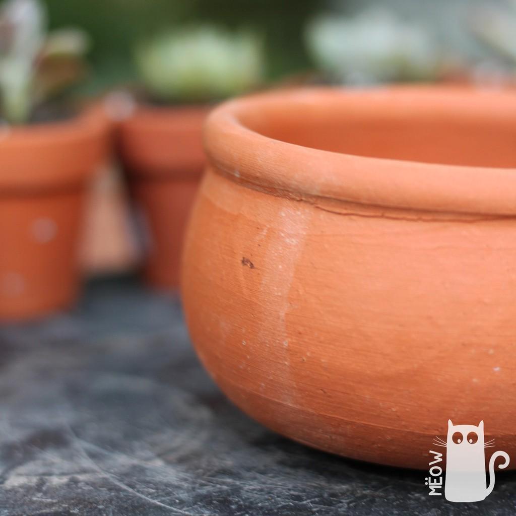 Chậu đất nung Niêu nhỏ | Chậu trồng cây, sen đá, xương rồng