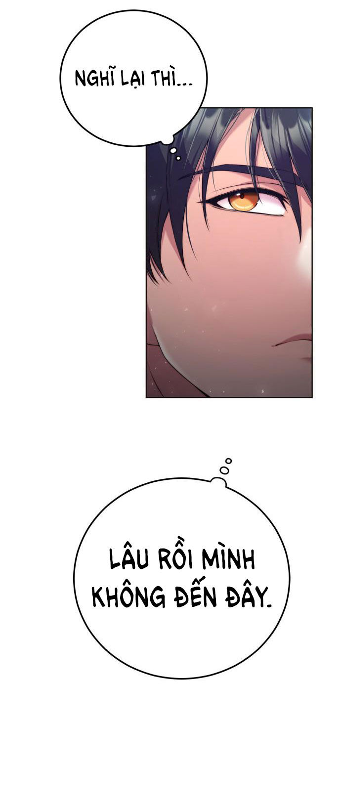 tôi sẽ ly hôn với người chồng bạo chúa chapter 13.2 12