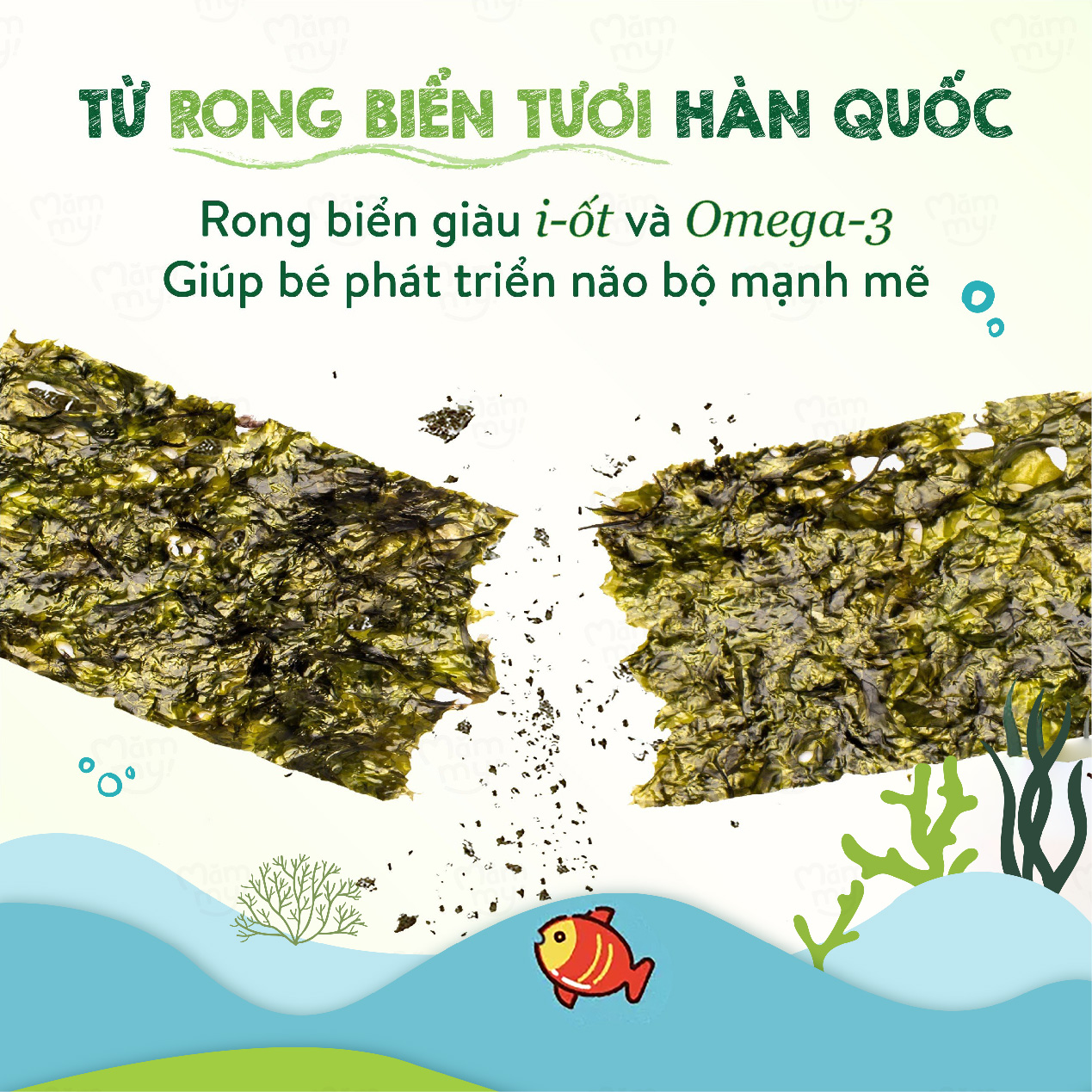 Bánh ăn dặm vị rong biển cho bé ăn dặm Mămmy giúp bé phát triển não bộ, tan ngay trong miệng, bé từ 6 tháng - 1 gói 25g