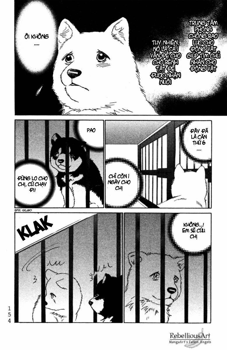 deep love - pao no monogatari chapter 5 15