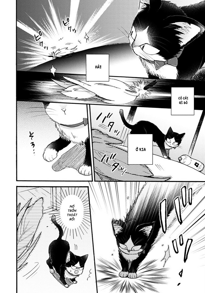 doukyonin wa hiza, tokidoki, atama no ue chapter 8.5 6