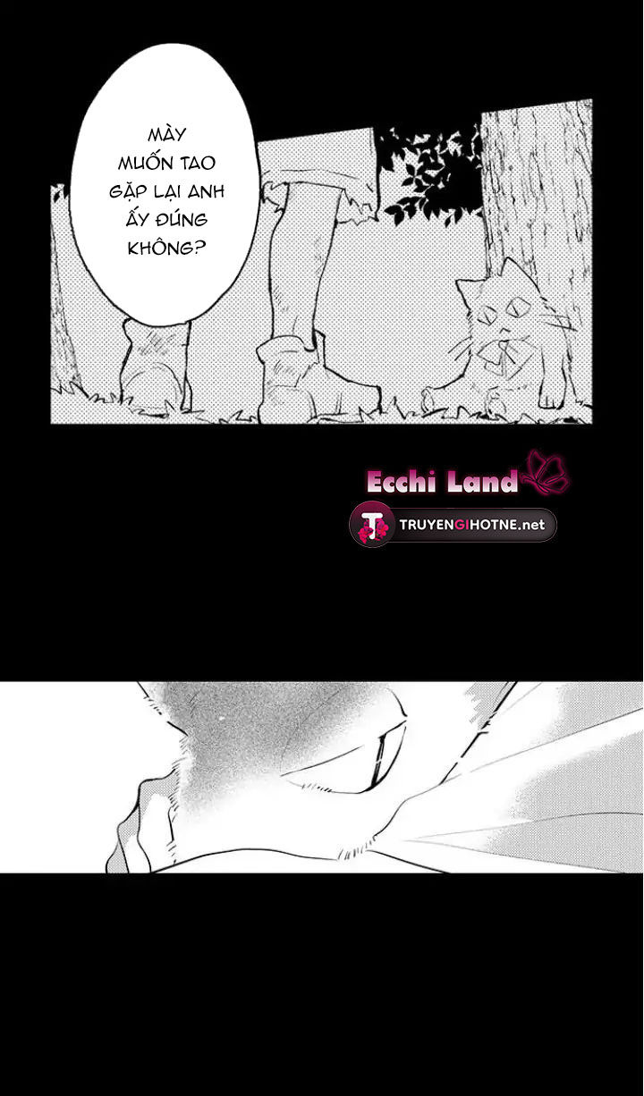 gần kề cái chết là lúc gào khóc tình yêu chapter 40.2 15