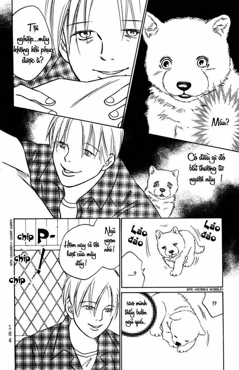 deep love - pao no monogatari chapter 6 15