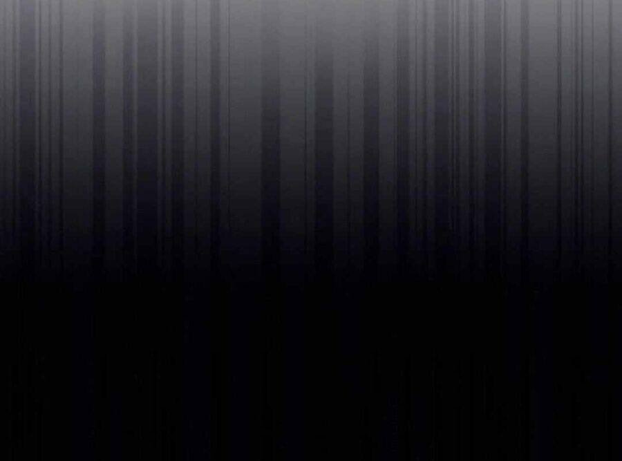 Lừa Đảo Bằng Giọng Nói Làm Đảo Lộn Cuộc Sống Của Bạn chapter 21 356