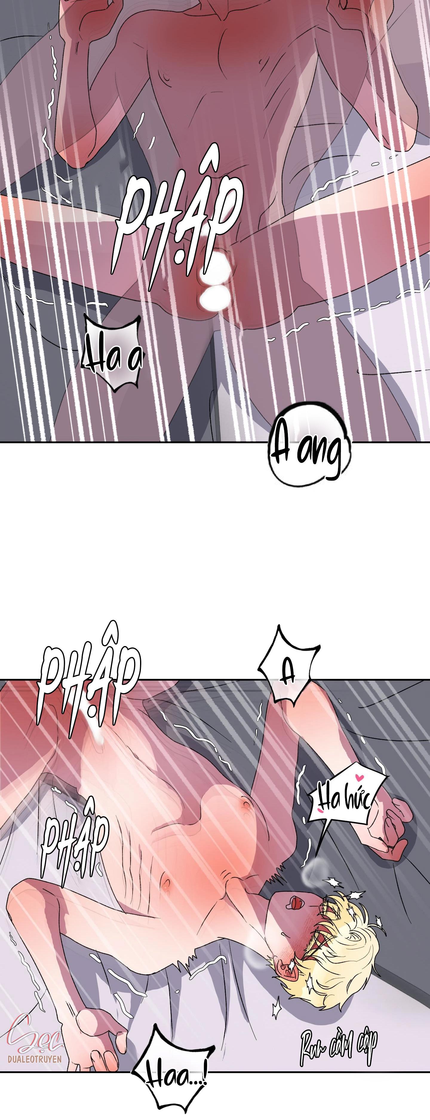 cá mập và cô dâu thỏ chapter 12 29