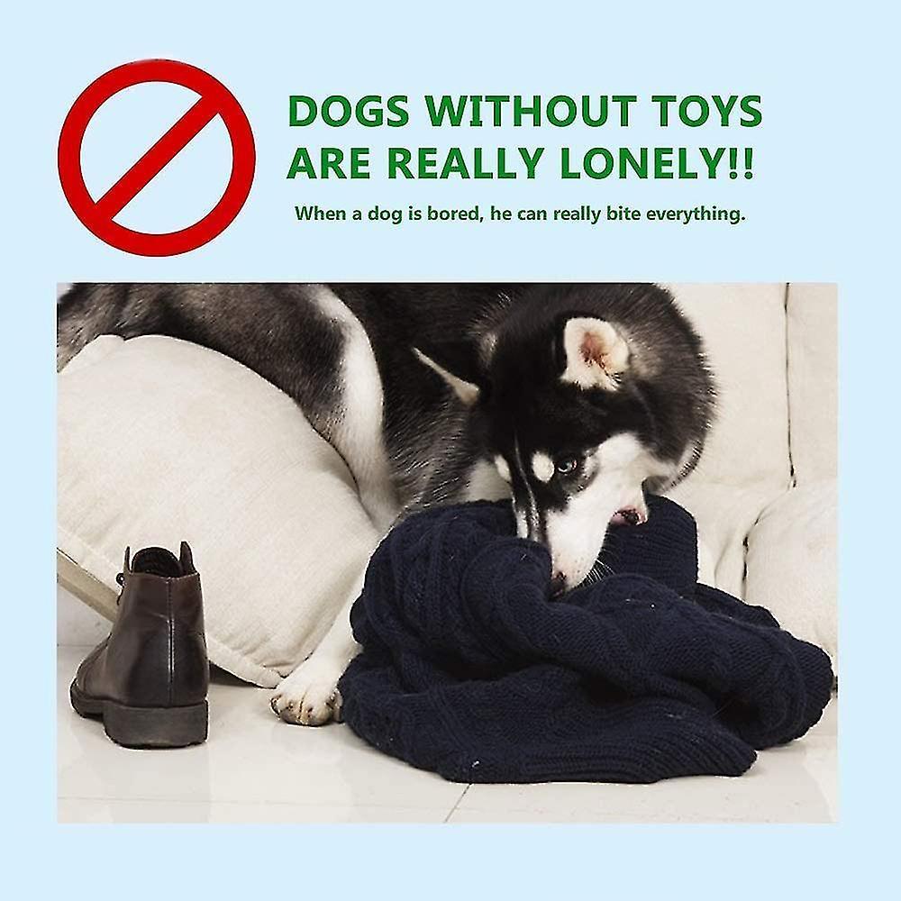 Chó nhai đồ chơi với chuông