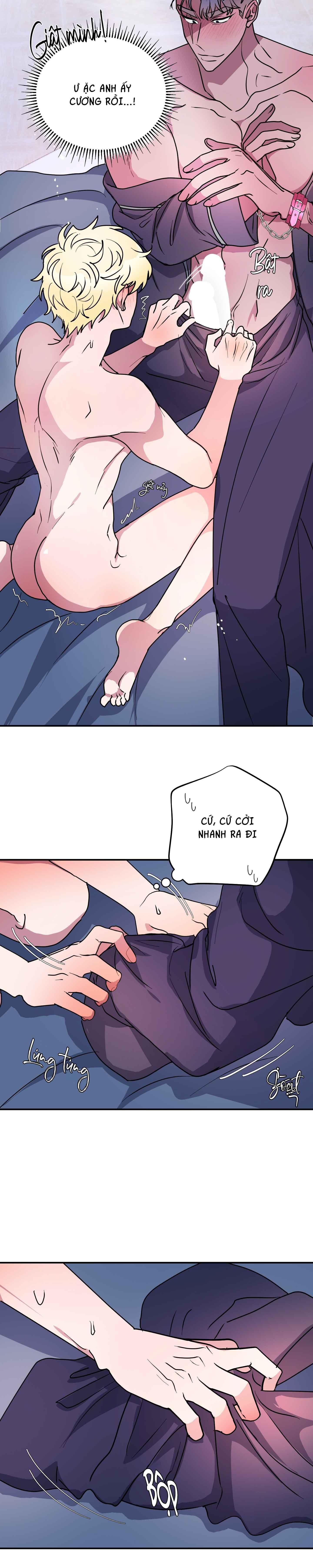 cá mập và cô dâu thỏ chapter 49 4