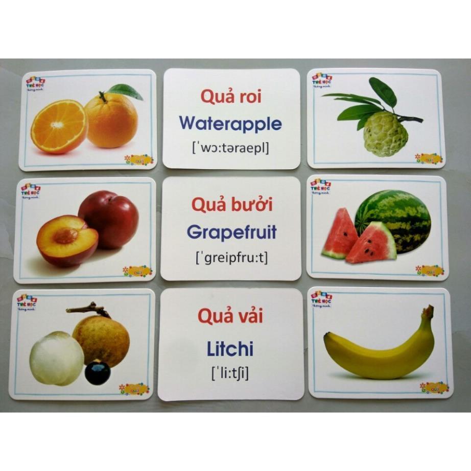 Bộ Thẻ Học Thông Minh 18 Chủ Đề loại to song ngữ tiếng Anh loại chuẩn Glenn Doman Flashcard cho bé từ 0-6 tuổi