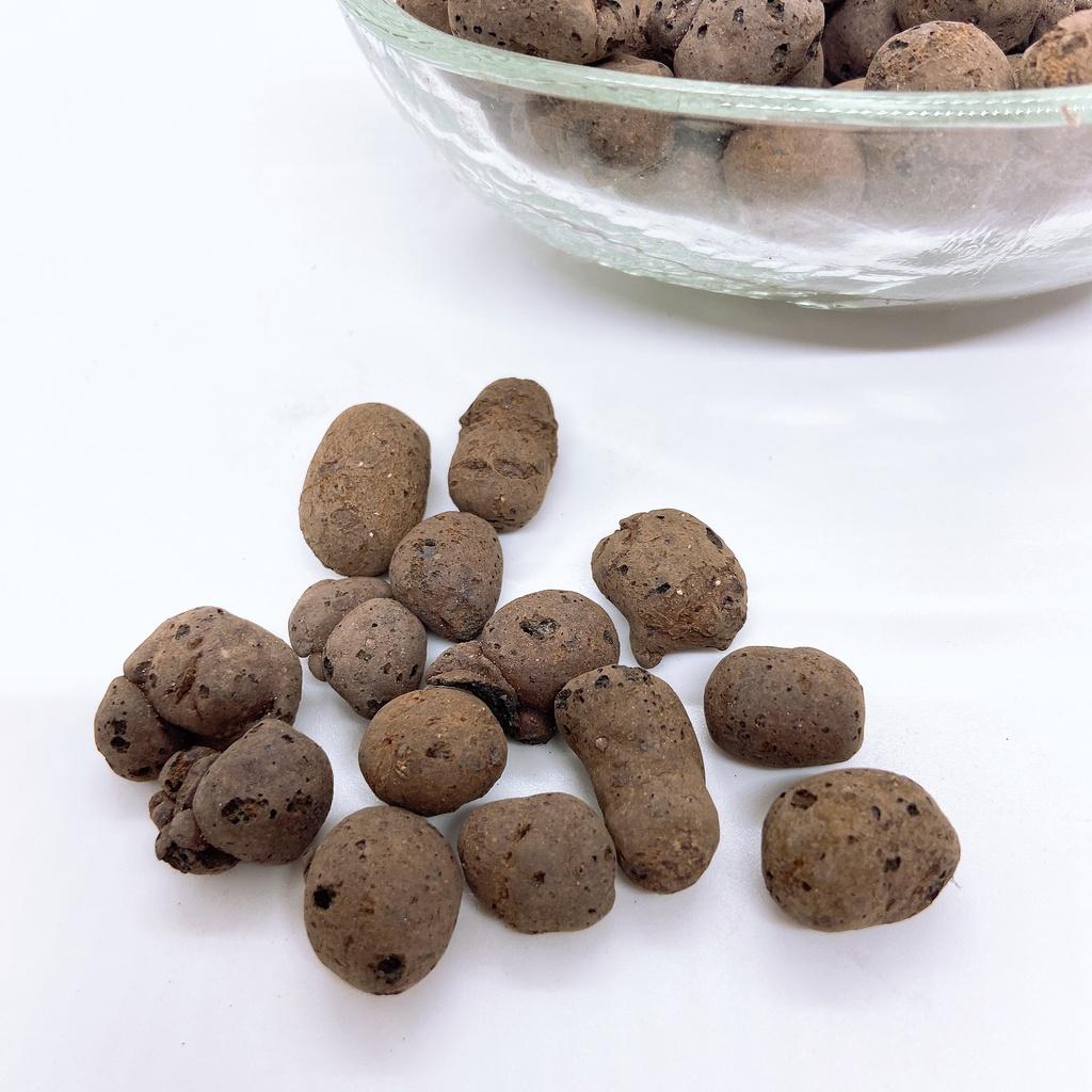 Đất sét nung trồng sen đá, xương rồng, trồng lan trang trí chậu cây