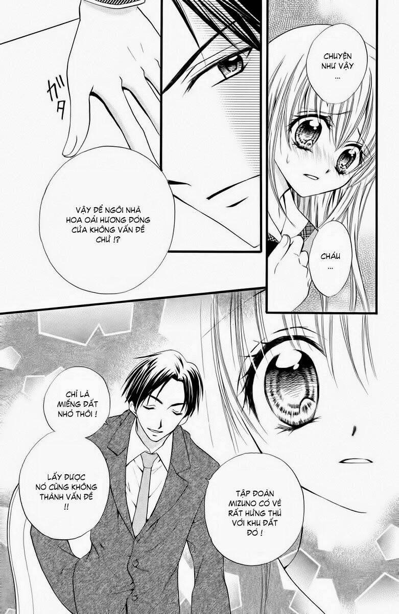 kitchen no ohime-sama - nàng công chúa bánh ngọt chapter 35 3