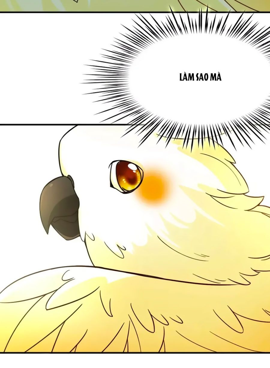 huyền vũ luyến ca: vạn vật sinh linh chapter 36 9