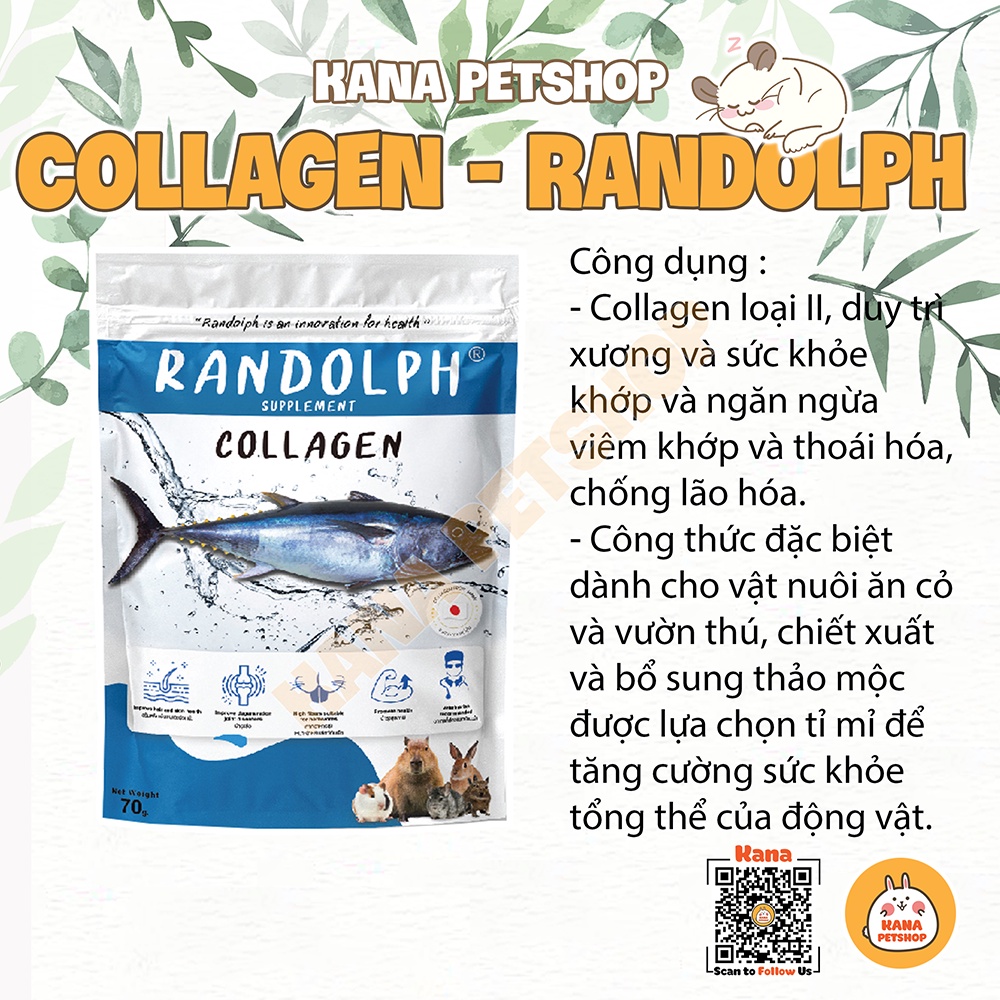 Bánh Cỏ Bổ Sung Collage Bánh Cỏ Timothy RANDOLPH Herbal & Supplement Collagen Dành cho Thỏ, Bọ, C