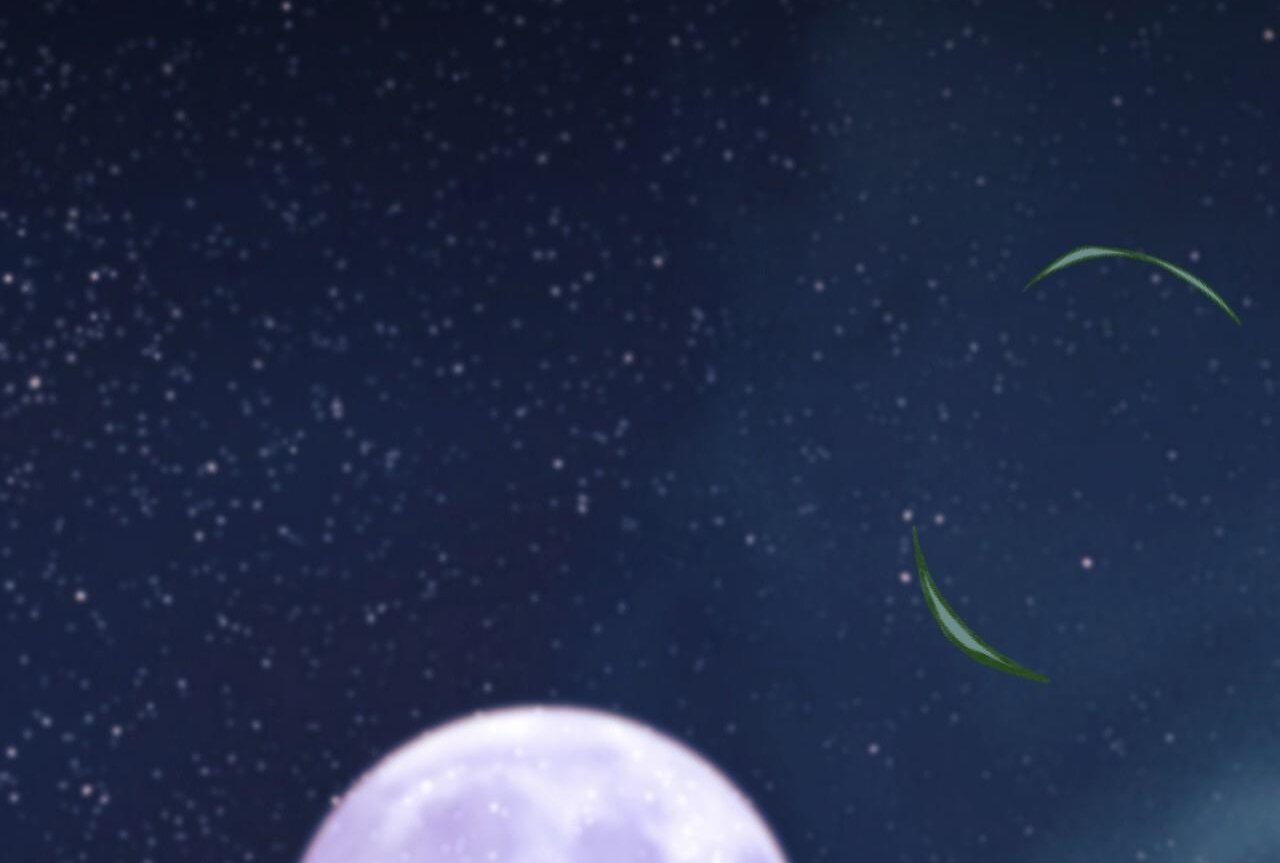 những chú thỏ của hapypy chapter 61 247