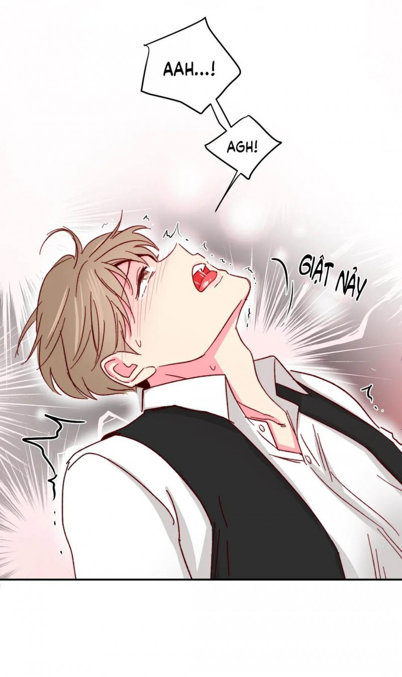 món tráng miệng của sếp tổng chapter 45 48