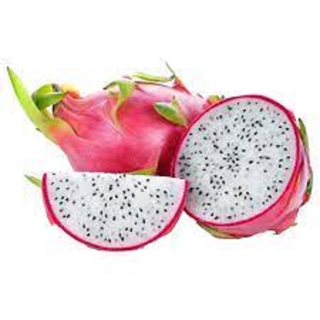 CÂY GIỐNG THĂNG LONG RUÔT TRẮNG