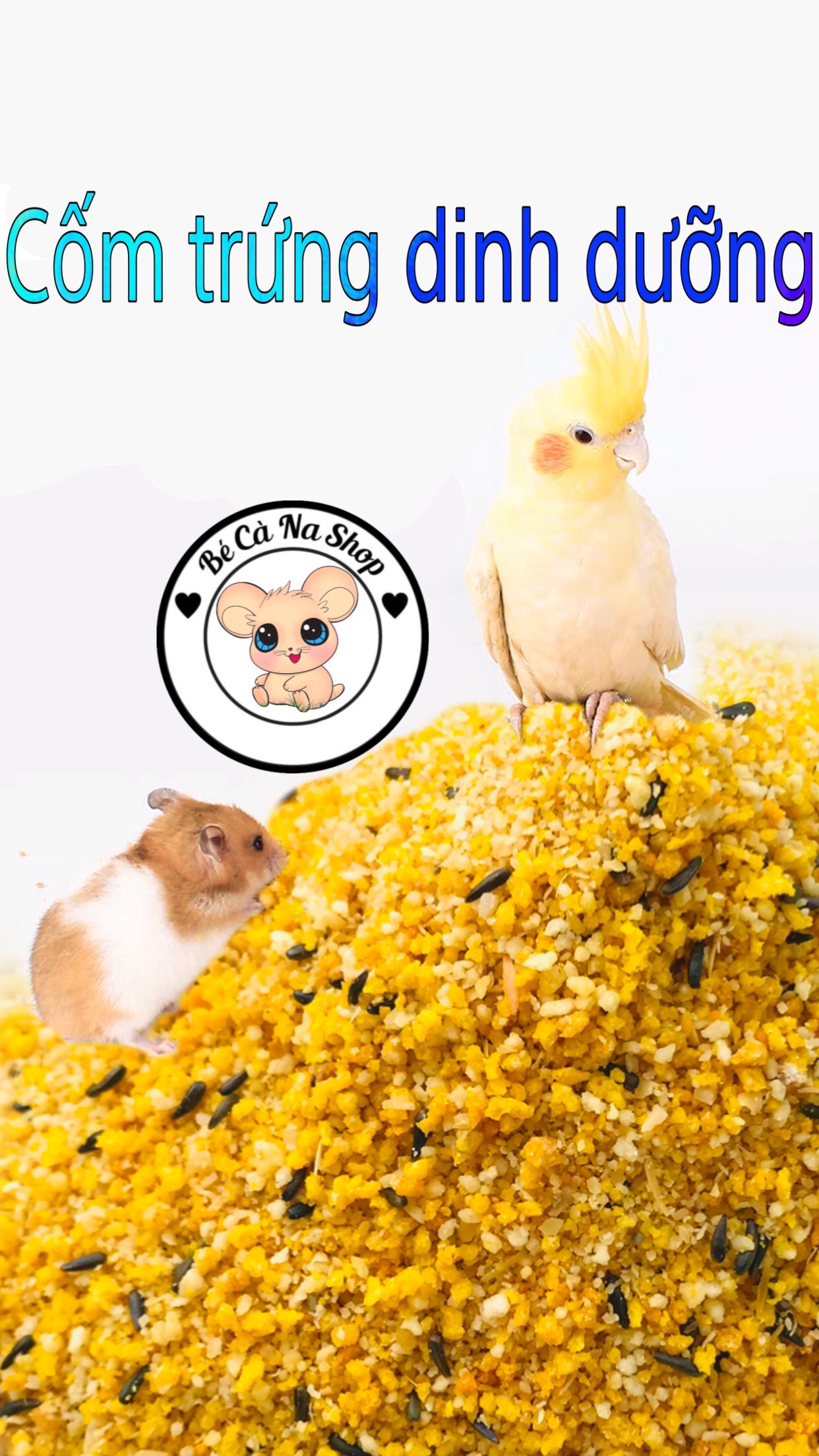 Cốm trứng vỗ béo cao cấp cho hamster