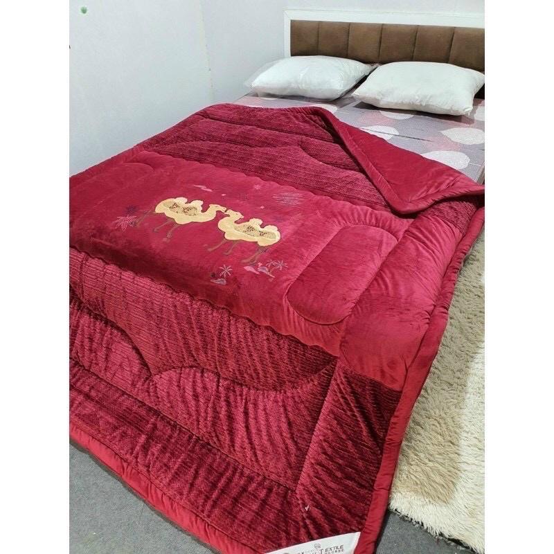 Chăn thiên nga, chăn lạc đà nặng 4kg nhiều màu