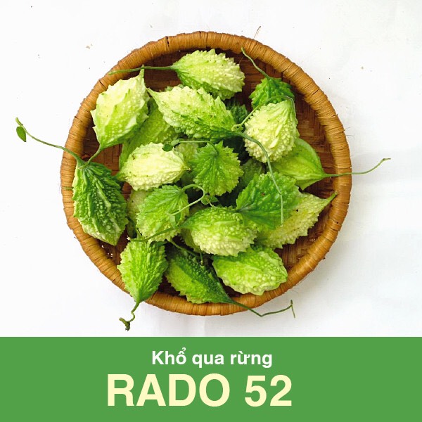 Hạt Giống Khổ qua rừng 52