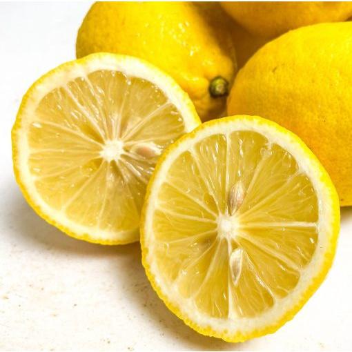 CÂY GIỐNG CHANH VÀNG THÁI