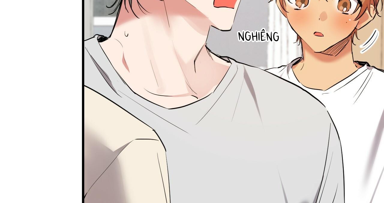 đàn thỏ của habibi chapter 39 155