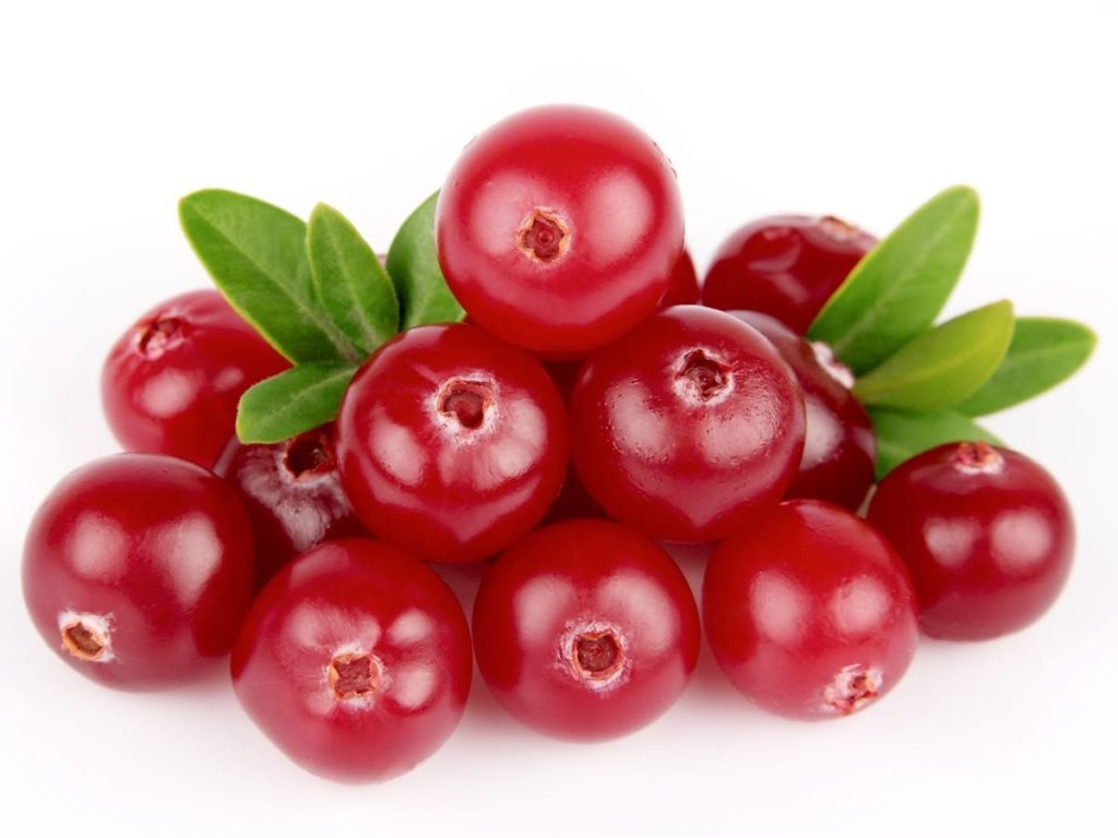 Nam Việt Quất Sấy Khô Only Nature 450 gram