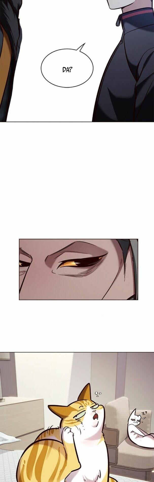 biến thân thành mèo chapter 195 49