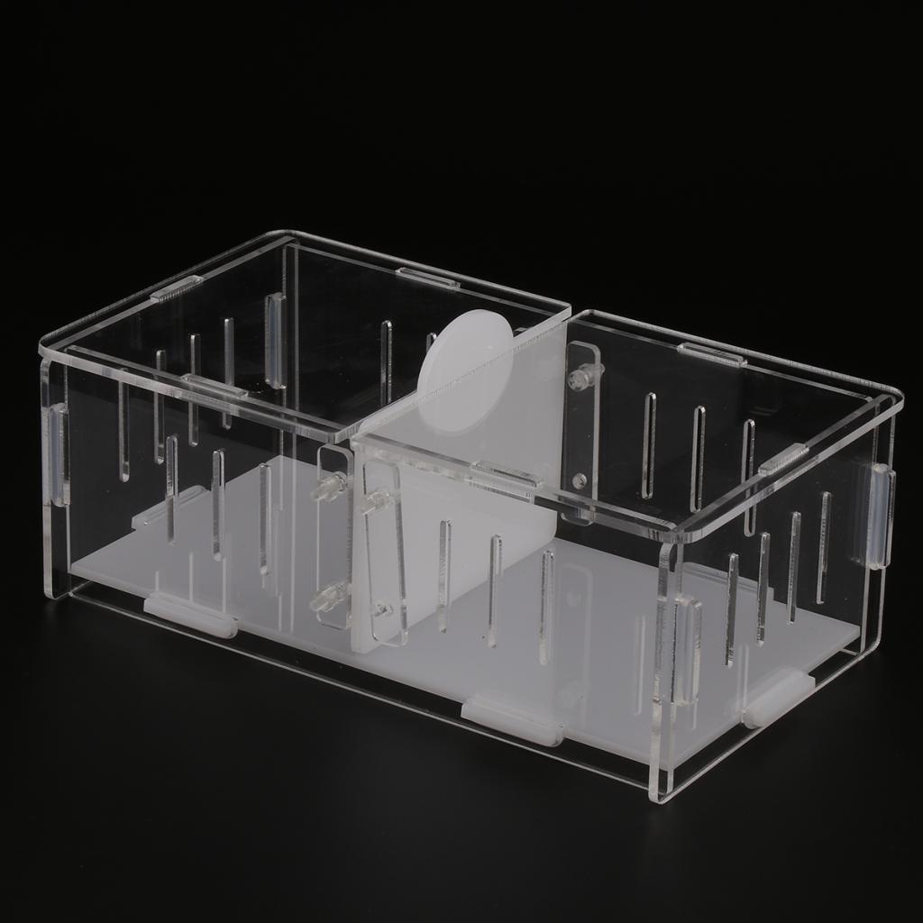 1x Reptile Cage Food Feeding Container For Spider Frog Cricket Turtle
