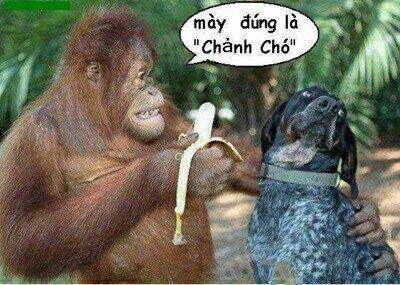 just troll chapter 21 8