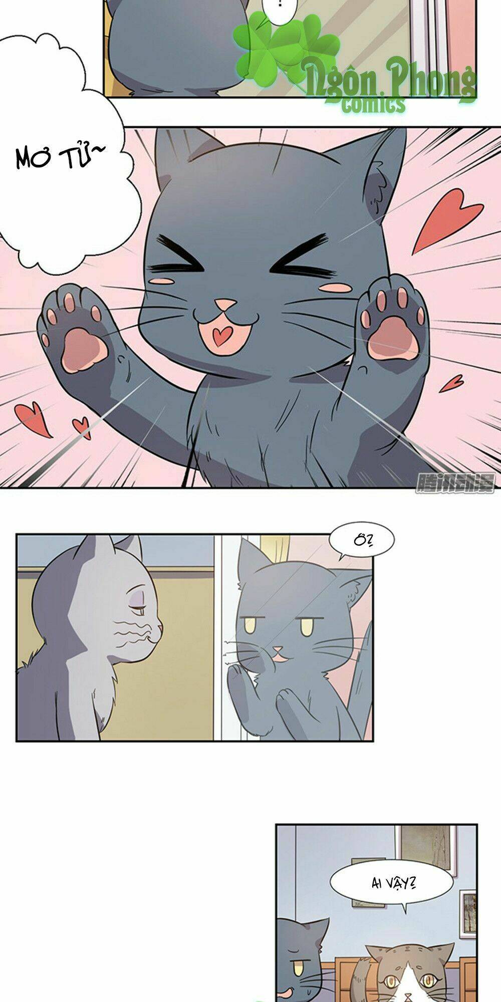 hai chú mèo totem chapter 26 6