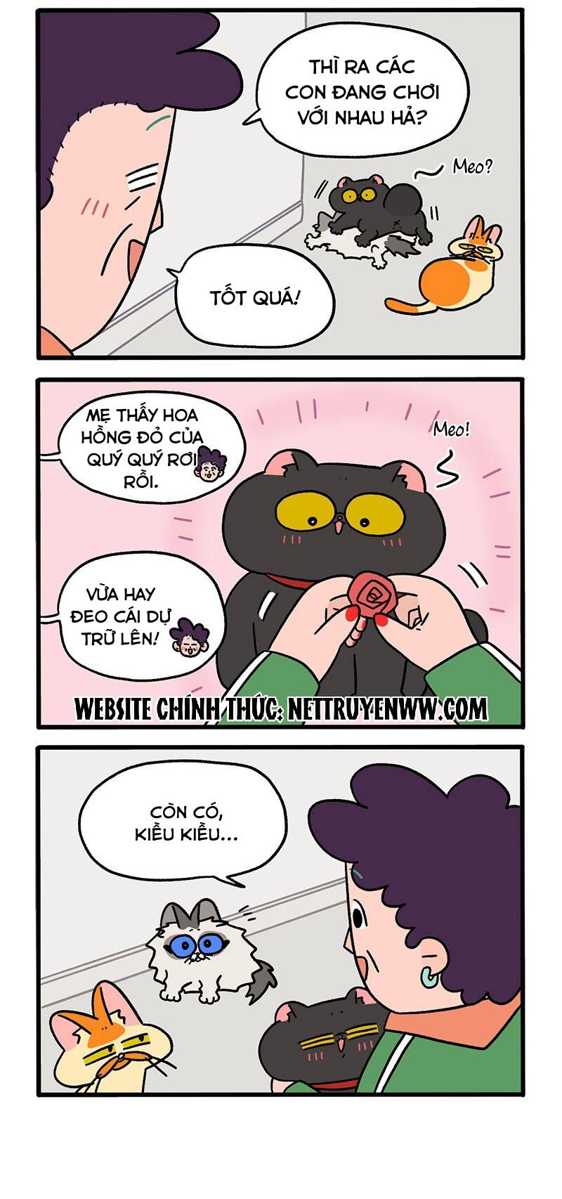 a mãn và mạch trà chapter 49.1 2