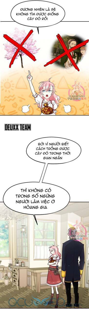 xin chào, tôi là người làm vườn! chapter 7 16