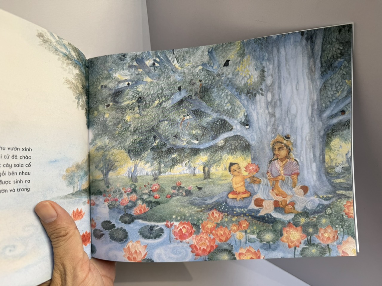 CHUYỆN KỂ VỀ CUỘC ĐỜI ĐỨC PHẬT - Heather Sanche – Kiều Anh Tú dịch - Thái Hà Books