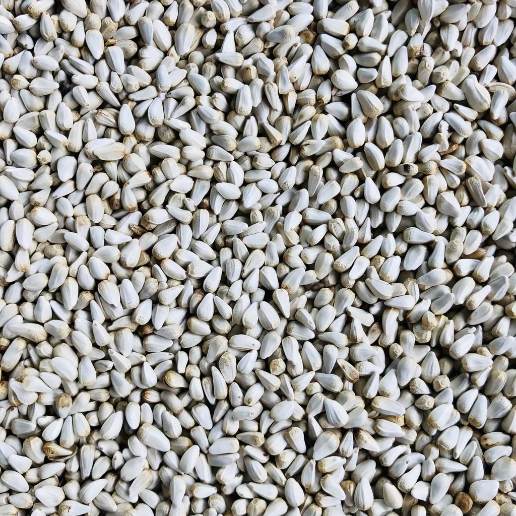 Hạt Kham, thức ăn cho thú cưng chim cảnh, vẹt, Hamster, gà đá, sóc, nhím
