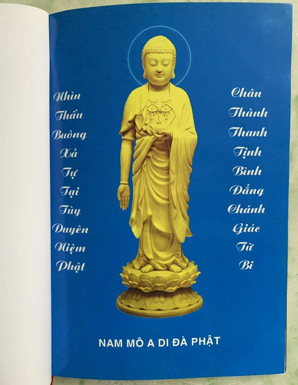 Phật Thuyết Đại Thừa Vô Lượng Thọ Trang Nghiêm Thanh Tịnh Bình Đẳng Giác Kinh