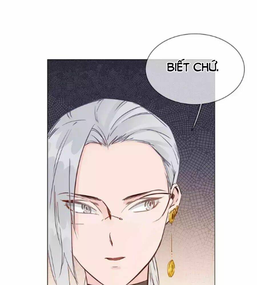 ngôi sao vụn vỡ chapter 42 14