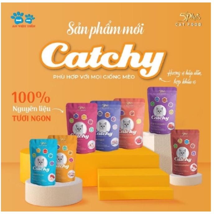 Combo 10 và 20 gói Pate Catchy 5plus dành cho mèo cưng dạng gói 70g nhiều vị hàng việt nam chất lượng cao