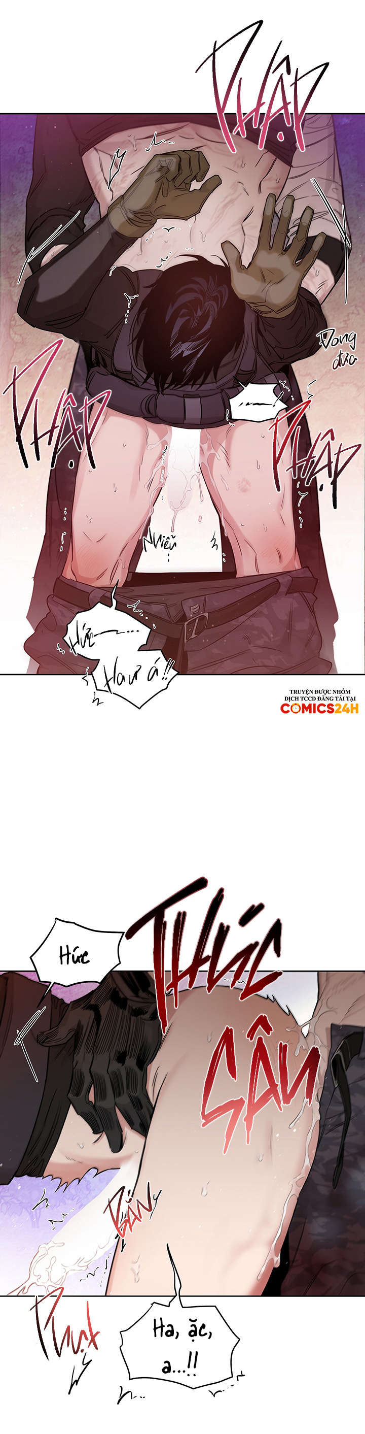 đoá hồng và ly champagne chapter 0.11 8