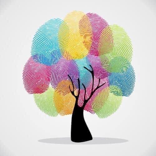 Hộp Màu Vân Tay 12 24 màu DIY Finger Painting