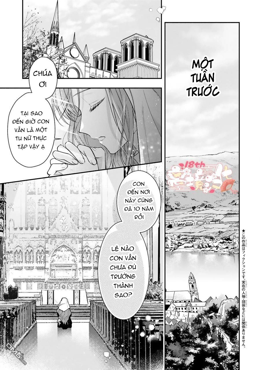 công chúa hợp đồng của nhà vua đa nghi chapter 1.1 4