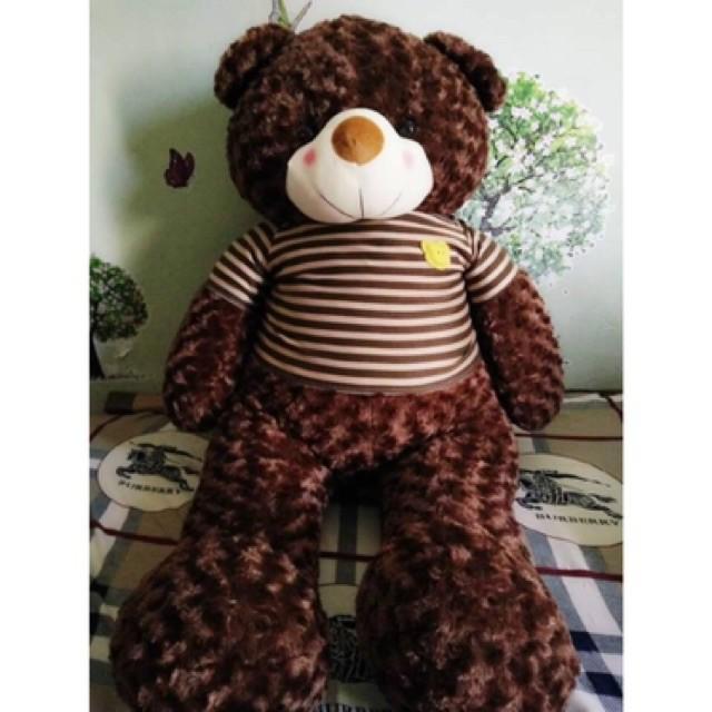 Gấu Bông Teddy 1m5 bông mềm mại, vỏ xoắn ốc siêu mịn cho da, sản phẩm cao cấp chất lượng cao, siêu sale